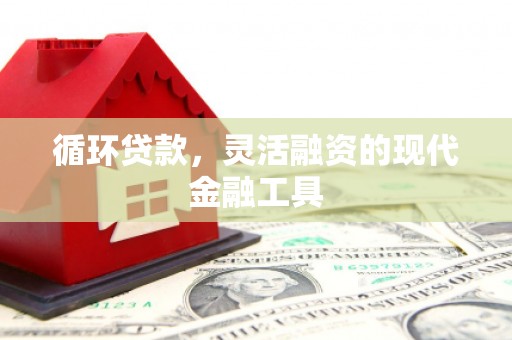 永德循环贷款，灵活融资的现代金融工具