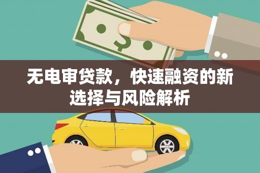 永德无电审贷款，快速融资的新选择与风险解析