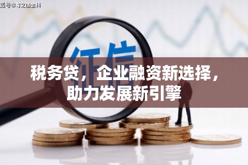 永德税务贷，企业融资新选择，助力发展新引擎