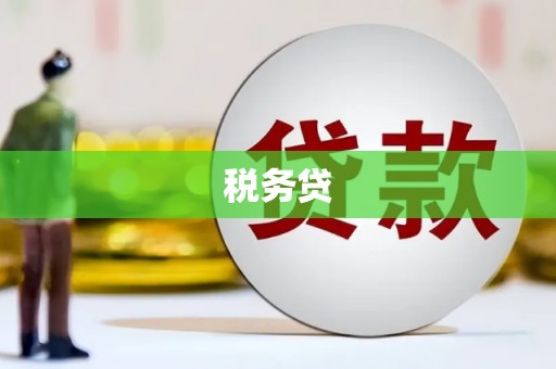 永德税务贷