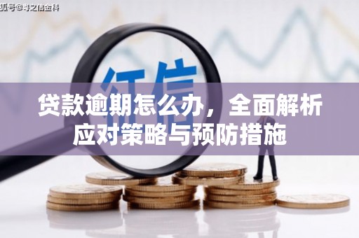 永德贷款逾期怎么办，全面解析应对策略与预防措施
