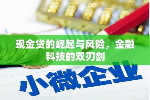 永德现金贷的崛起与风险，金融科技的双刃剑