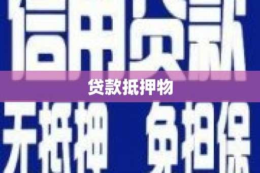 永德贷款抵押物