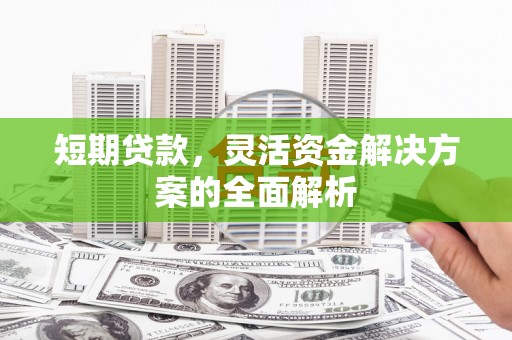 永德短期贷款，灵活资金解决方案的全面解析