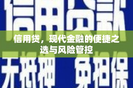 永德信用贷，现代金融的便捷之选与风险管控