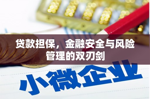 永德贷款担保，金融安全与风险管理的双刃剑
