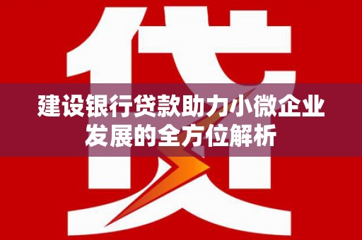 永德建设银行贷款助力小微企业发展的全方位解析