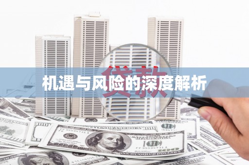 永德机遇与风险的深度解析