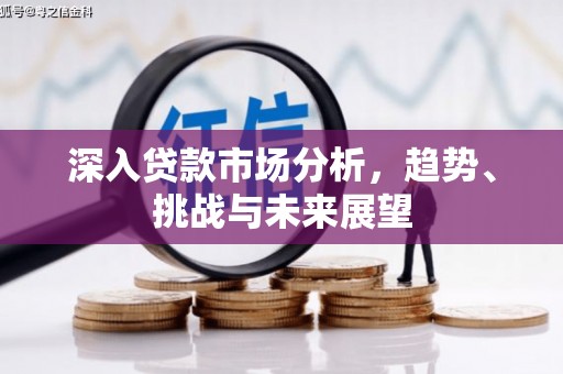 永德深入贷款市场分析，趋势、挑战与未来展望