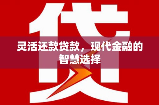 永德灵活还款贷款，现代金融的智慧选择