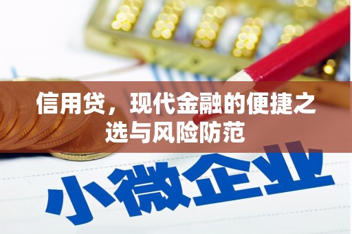 永德信用贷，现代金融的便捷之选与风险防范