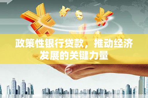 永德政策性银行贷款，推动经济发展的关键力量