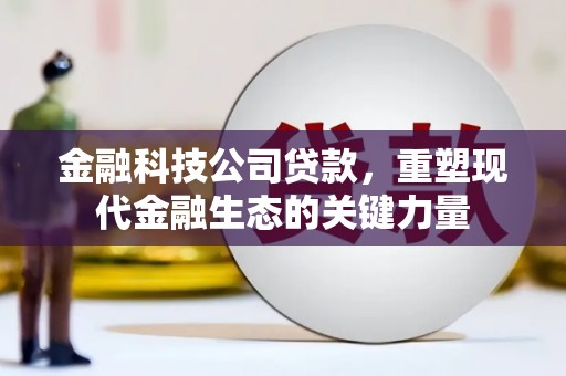 永德金融科技公司贷款，重塑现代金融生态的关键力量
