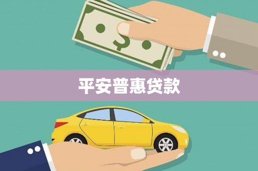 永德平安普惠贷款