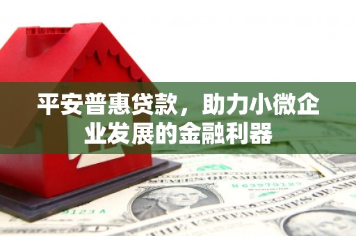 永德平安普惠贷款，助力小微企业发展的金融利器