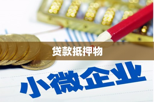 永德贷款抵押物