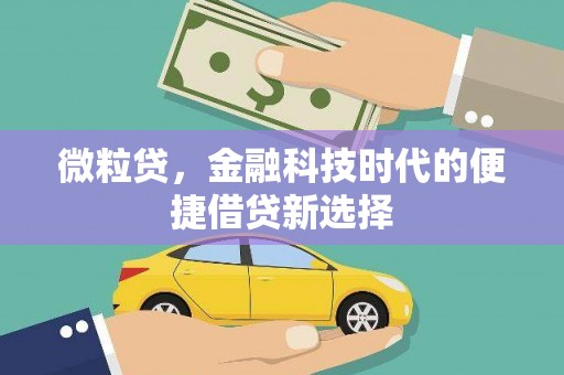 永德微粒贷，金融科技时代的便捷借贷新选择