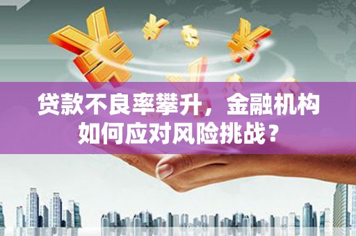 永德贷款不良率攀升，金融机构如何应对风险挑战？