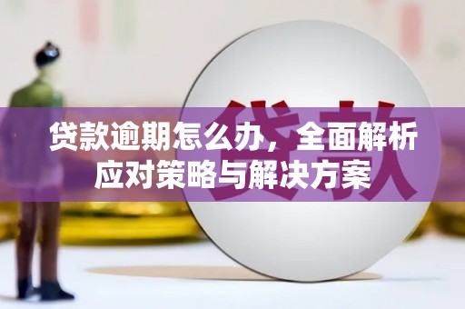 永德贷款逾期怎么办，全面解析应对策略与解决方案