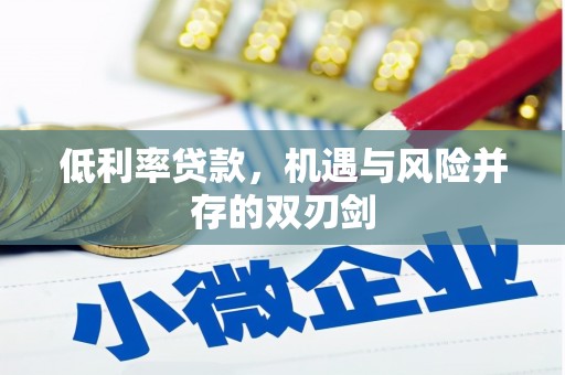 永德低利率贷款，机遇与风险并存的双刃剑