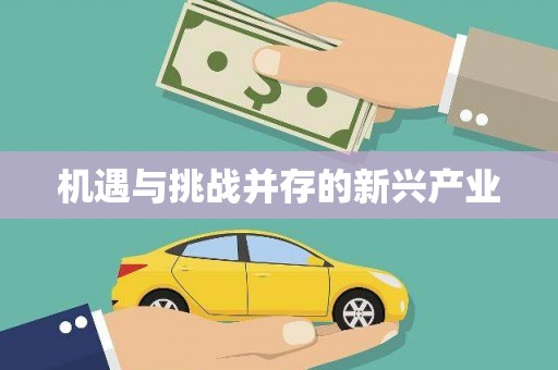 永德机遇与挑战并存的新兴产业