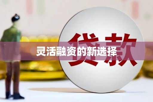 永德灵活融资的新选择