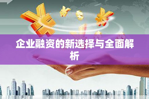 永德企业融资的新选择与全面解析