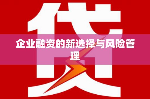 永德企业融资的新选择与风险管理