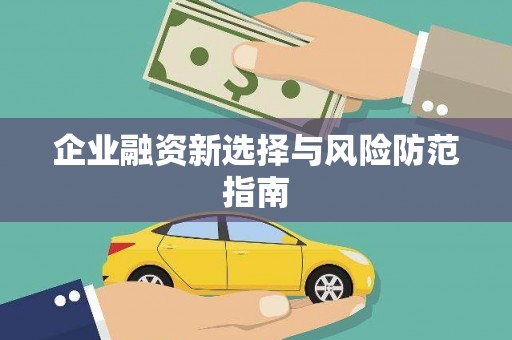 永德企业融资新选择与风险防范指南