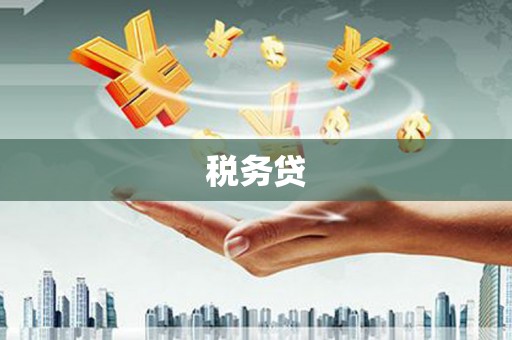 永德税务贷