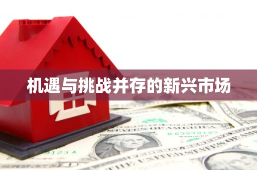 永德机遇与挑战并存的新兴市场