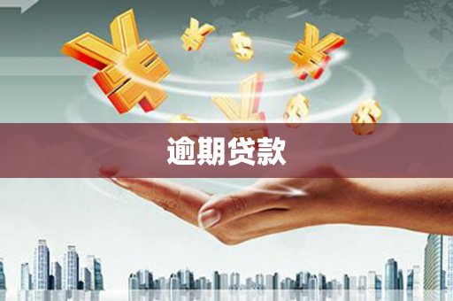 永德逾期贷款