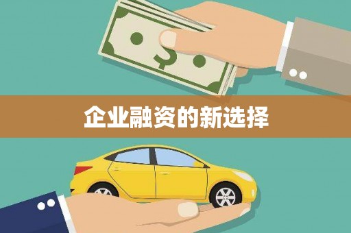 永德企业融资的新选择