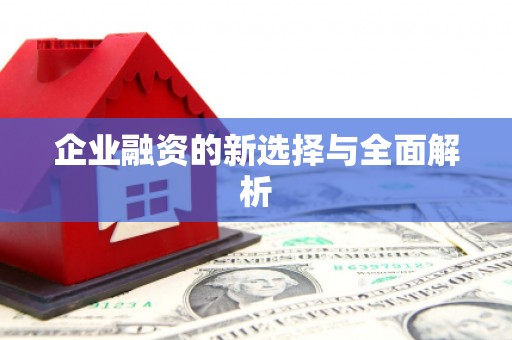 永德企业融资的新选择与全面解析