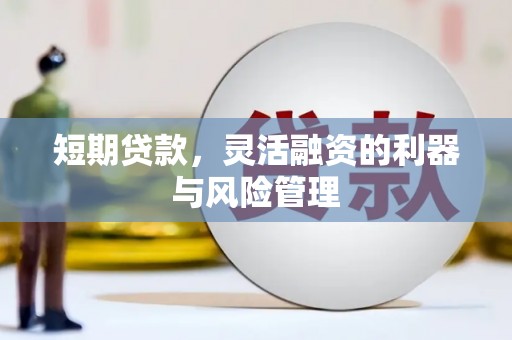 永德短期贷款，灵活融资的利器与风险管理