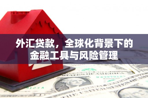 永德外汇贷款，全球化背景下的金融工具与风险管理